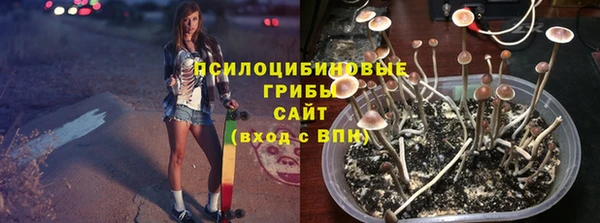 сатива Алексин